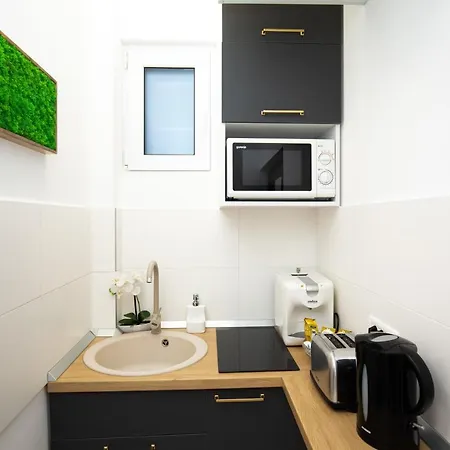 Apartment Metropole Old *