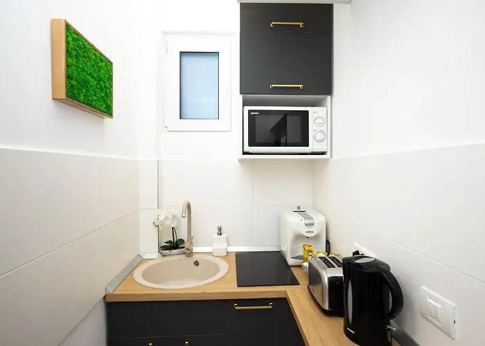 Apartment Metropole Old *